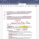 [WELLx꾸바래] #30 해외일경험 WELL프로그램, 독일 인턴십 두 달차 후기 및 소감