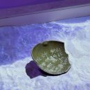 청해사 | [전시 후기] 해양권역 예담고 ‘바다를 건너, 시간을 넘어’