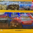 쌍둥이네 이미지