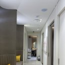 더블스킨 | 삼성동피부과 쥬베룩 스킨부스터 더블타이트 조합 찐추천 후기