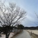 사군자민박 | 영주 여행,영주 가볼만한곳, 무섬 마을, 무섬마을 외나무 다리, 경북 영주