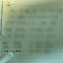 유 애 묘 | [5월 보고서] 애들아 다 깨져도 어떻게든 걷다보면 6월이 온단다 !