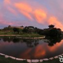 수원-1877 이미지