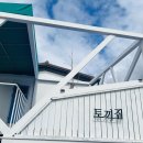 토끼집스테이 이미지