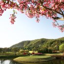 주식회사 신원 이미지