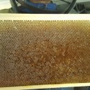 산골백두 이미지