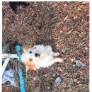 대산면 금강마을 이미지