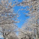 연희재 내원사점 이미지