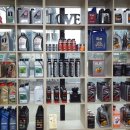 엄지모터스 이미지