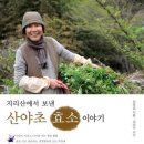 지리산에서 보낸 산야초 효소 이야기 이미지