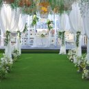 플레르바인 이미지