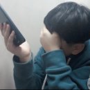 여름 메론 향기