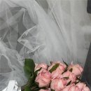 한강 작가, 대화로 읽는다 | 겨울 커플 스냅 촬영 후기 | 난지 한강공원 눈 내린 날 📸❄️