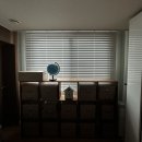 화이트노들