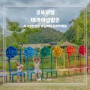 대가야생활촌 야외화장실 | 고령 대가야생활촌 아이랑 가볼만한곳 야외놀이터 한기촌숙박