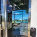 죽림목장 | 부산강서구 죽림카페 [카페보다], 낙동강뷰가 멋있는 대형카페 애견동반가능