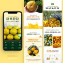 일감디자인연구소