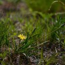 한마음  행정사사무소 이미지