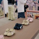 와이와이존 이미지