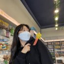 리프패럿청석공원점앵무새체험관카페 | 경기광주 리프패럿 청석공원점 앵무새 카페 데이트 후기🌷