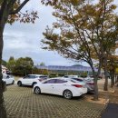경남고성공룡세계엑스포 퍼레이드 당항포관광지 다녀온 후기 주차장 푸드코트 매점 공룡열차시간표...