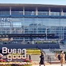 황금유통 | 부산 기념품 추천 황금복돼지빵 여행 선물 후기