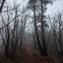 비금 내촌마을 제당 | 박달재의 백대명산플러스: 포천/가평 주금산 (축령산과 연계산행)