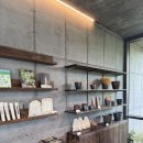 소롱코지 이미지