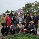 세종특별자치시농업기술센터 이미지