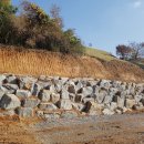 조선대학교병원 이미지