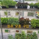 원주농협 자재센터 이미지