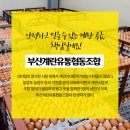 부산계란유통협동조합