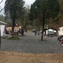 솔밭체육공원 이미지