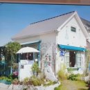 헤몽페네 이미지