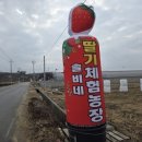 솔비농장 이미지