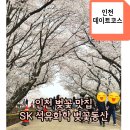 인천 벚꽃 맛집, 인천SK석유화학 벚꽃동산 꽃 놀이 후기 (4.9일까지)