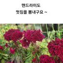 미호왕족발 이미지