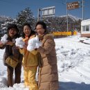 포유콘도 이미지