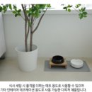 에이스애견수제간식 이미지