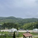 칸델라식당 이미지