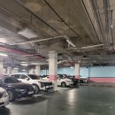 무등산 휘트니스 | 쌍촌동헬스 무등산휘트니스쌍촌점 후기