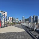 광장건어물 이미지