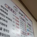사랑해꽃돼지 이미지
