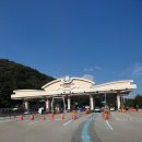 일산에이스애견미용학원