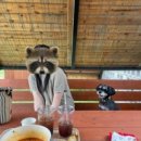 멍클라쓰 이미지