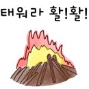 UFC 국제 GYM 이미지