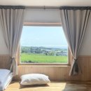 퐁낭에염 이미지