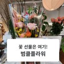범클플라워 - 광산구 장신로266번길 5 | [범클플라워 꽃집]꽃 선물하기 딱 좋은 꽃집, 범클플라워 방문 후기!