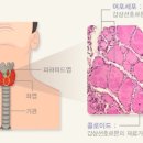 엠여성의원 이미지