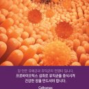 한마음병원 정문 횡단보도 이미지